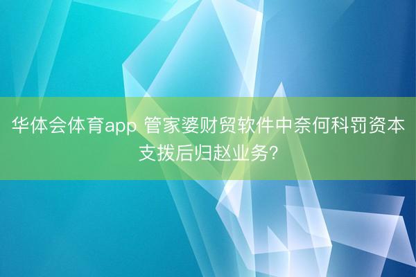 华体会体育app 管家婆财贸软件中奈何科罚资本支拨后归赵业务？