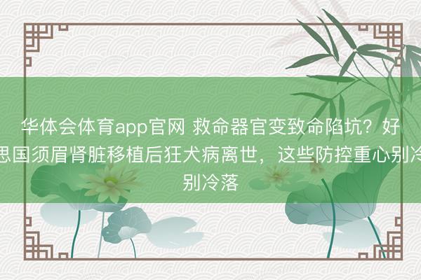 华体会体育app官网 救命器官变致命陷坑？好意思国须眉肾脏移植后狂犬病离世，这些防控重心别冷落