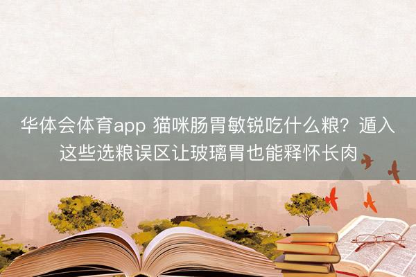 华体会体育app 猫咪肠胃敏锐吃什么粮?遁入这些选粮误区让玻璃胃也能释怀长肉