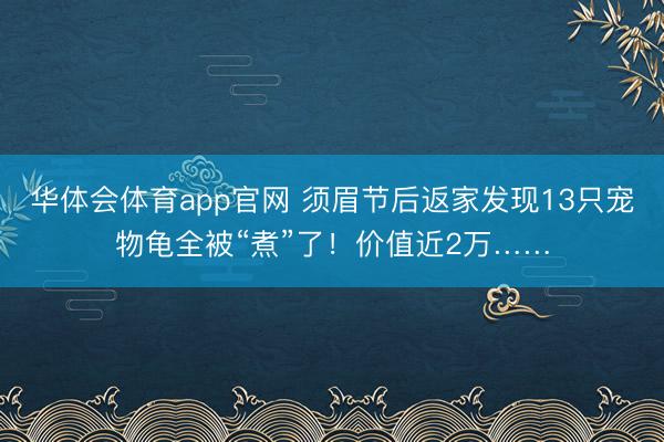 华体会体育app官网 须眉节后返家发现13只宠物龟全被“煮”了！价值近2万……