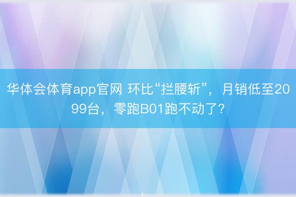 华体会体育app官网 环比“拦腰斩”,月销低至2099台,零跑B01跑不动了?