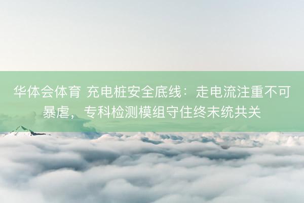 华体会体育 充电桩安全底线：走电流注重不可暴虐，专科检测模组守住终末统共关