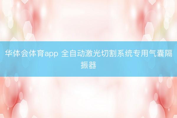 华体会体育app 全自动激光切割系统专用气囊隔振器