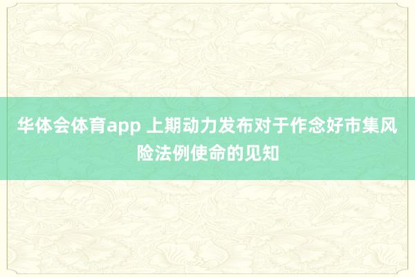 华体会体育app 上期动力发布对于作念好市集风险法例使命的见知