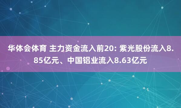华体会体育 主力资金流入前20: 紫光股份流入8.85亿元、中国铝业流入8.63亿元