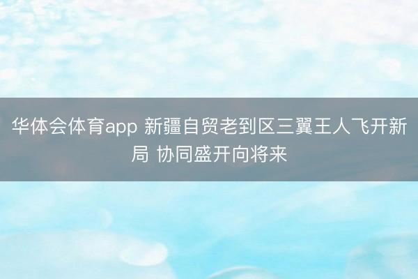 华体会体育app 新疆自贸老到区三翼王人飞开新局 协同盛开向将来
