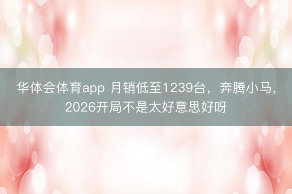 华体会体育app 月销低至1239台,奔腾小马,2026开局不是太好意思好呀