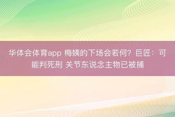 华体会体育app 梅姨的下场会若何？巨匠：可能判死刑 关节东说念主物已被捕