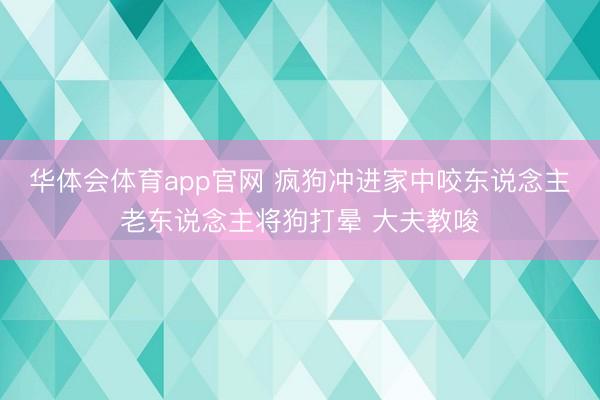 华体会体育app官网 疯狗冲进家中咬东说念主老东说念主将狗打晕 大夫教唆