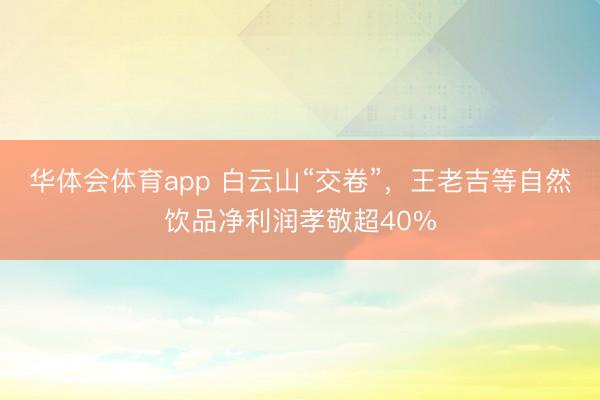 华体会体育app 白云山“交卷”，王老吉等自然饮品净利润孝敬超40%