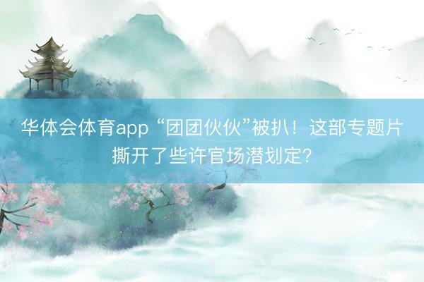 华体会体育app “团团伙伙”被扒！这部专题片撕开了些许官场潜划定？