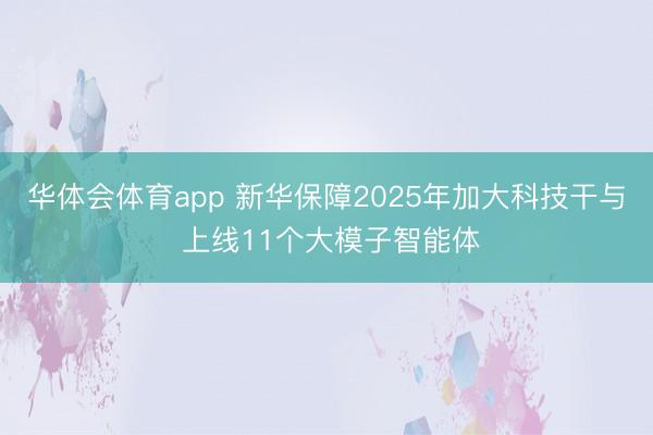 华体会体育app 新华保障2025年加大科技干与 上线11个大模子智能体