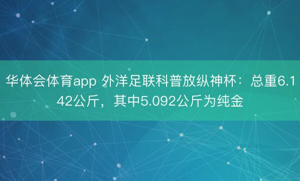 华体会体育app 外洋足联科普放纵神杯：总重6.142公斤，其中5.092公斤为纯金