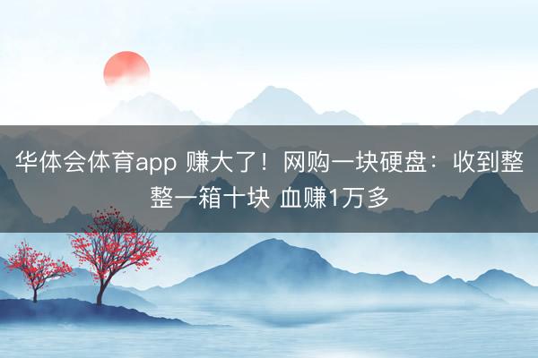 华体会体育app 赚大了！网购一块硬盘：收到整整一箱十块 血赚1万多