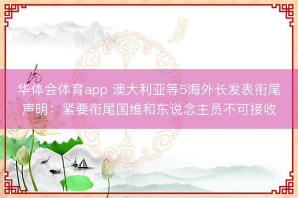 华体会体育app 澳大利亚等5海外长发表衔尾声明：紧要衔尾国维和东说念主员不可接收