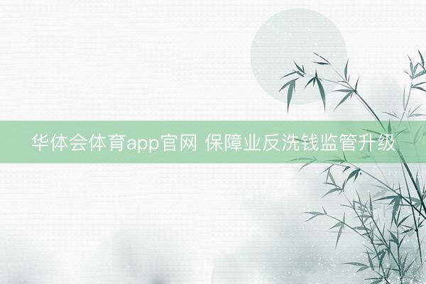 华体会体育app官网 保障业反洗钱监管升级