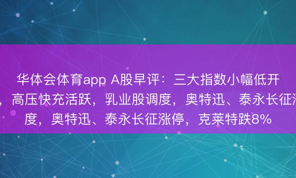 华体会体育app A股早评:三大指数小幅低开,沪指低开0.16%,高压快充活跃,乳业股调度,奥特迅、泰永长征涨停,克莱特跌8%