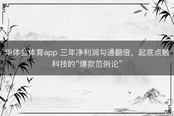 华体会体育app 三年净利润勾通翻倍，起底点触科技的“爆款范例论”
