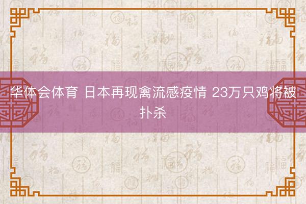 华体会体育 日本再现禽流感疫情 23万只鸡将被扑杀