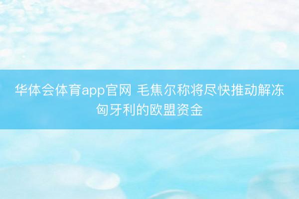 华体会体育app官网 毛焦尔称将尽快推动解冻匈牙利的欧盟资金