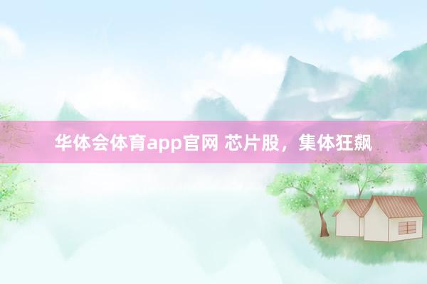 华体会体育app官网 芯片股，集体狂飙