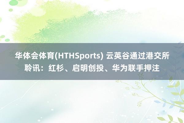 华体会体育(HTHSports) 云英谷通过港交所聆讯：红杉、启明创投、华为联手押注