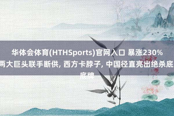 华体会体育(HTHSports)官网入口 暴涨230%! 两大巨头联手断供， 西方卡脖子， 中国径直亮出绝杀底牌