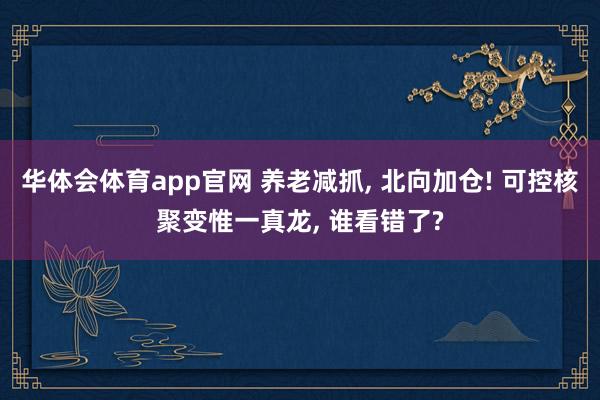 华体会体育app官网 养老减抓， 北向加仓! 可控核聚变惟一真龙， 谁看错了?