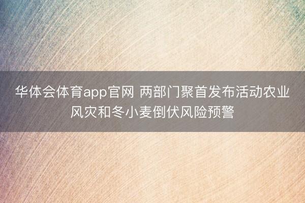华体会体育app官网 两部门聚首发布活动农业风灾和冬小麦倒伏风险预警