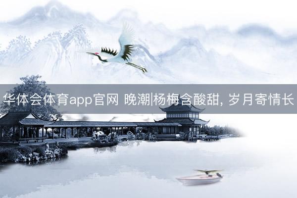 华体会体育app官网 晚潮|杨梅含酸甜， 岁月寄情长