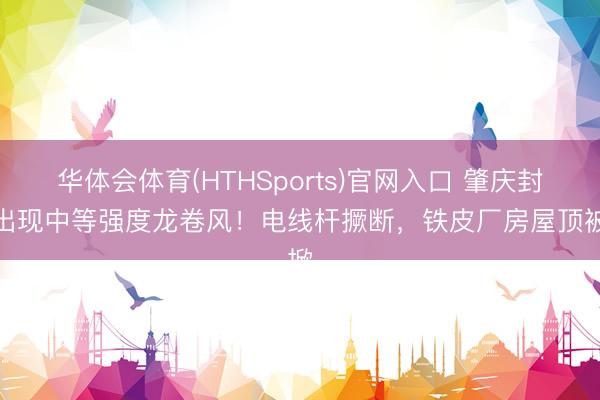 华体会体育(HTHSports)官网入口 肇庆封开出现中等强度龙卷风！电线杆撅断，铁皮厂房屋顶被掀