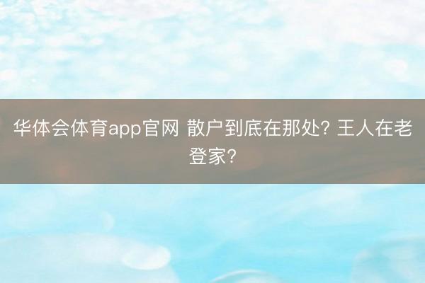 华体会体育app官网 散户到底在那处? 王人在老登家?